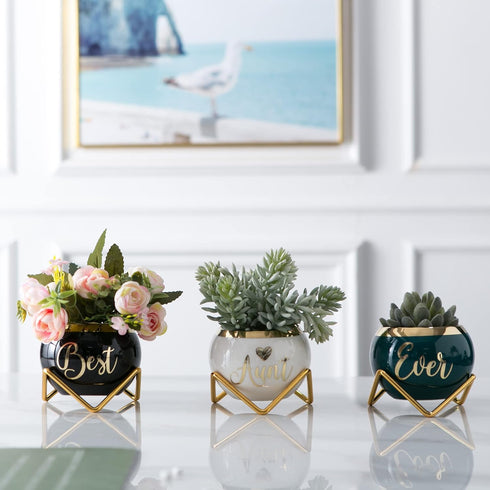 Unique Aunt Gifts  Best Ever Succulent Pots